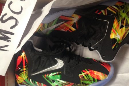 Nike-LeBron-XI-GS-Reverse-Kings-Pride-0