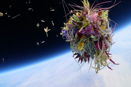 azuma-makoto-sends-plants-to-space-1