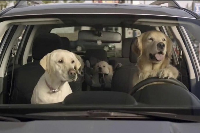 Subaru 捨「Super Bowl」黃金廣告時段，另外推出「DOG TESTED. DOG APPROVED.」系列廣告！