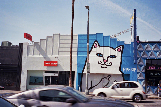 這隻「貓」竟然在加州 Supreme 門店旁邊豎起了中指！