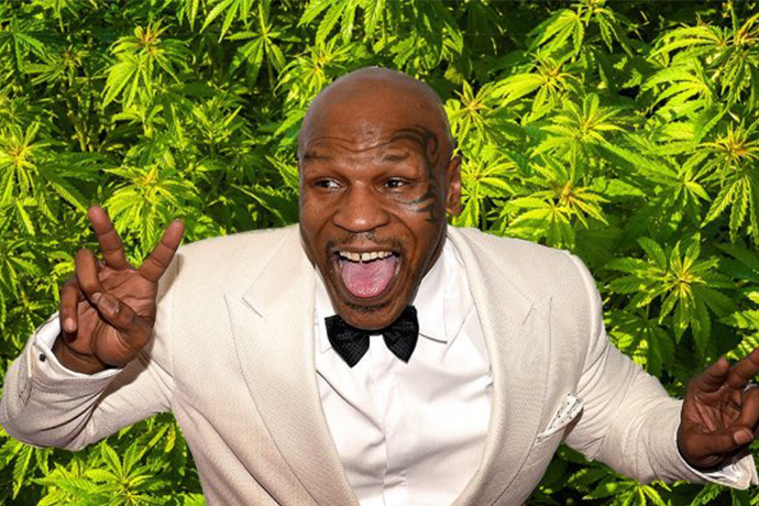 法令才剛通過！拳王 Mike Tyson 計劃加州「大麻樂園」！