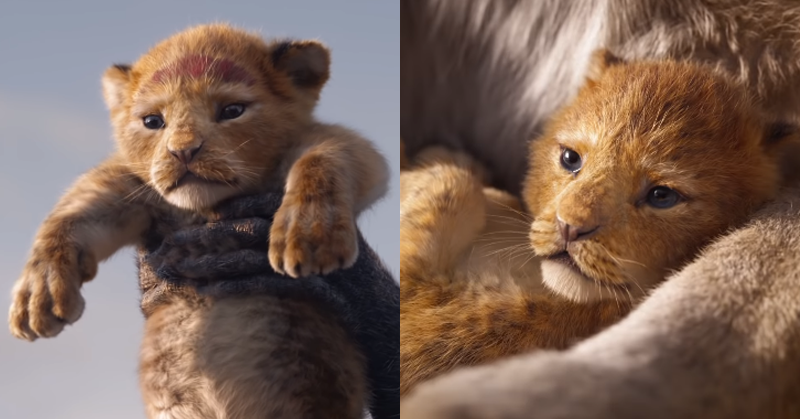 經典回歸！Disney 發布「擬真」版《獅子王》電影首波預告！