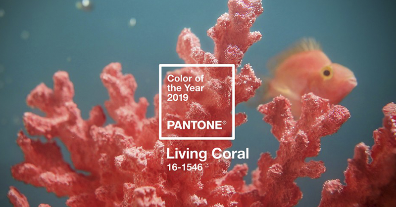Pantone 發布最新年度代表色！「活珊瑚色」將成為 2019 年最「潮」的顏色！