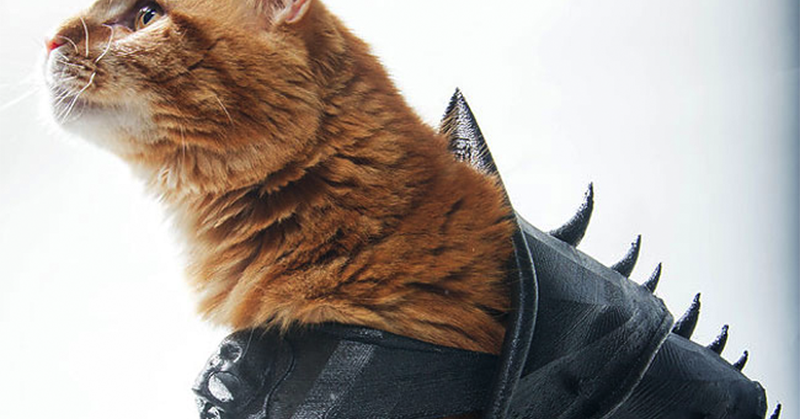 喵吉拉來襲？網友打造「貓咪戰甲」，穿上後戰鬥力瞬間爆升 10 倍？！