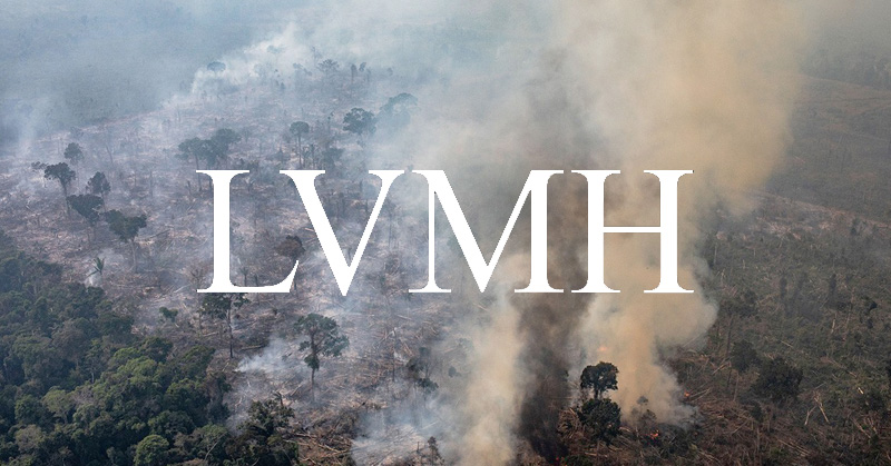 LVMH 捐贈 3 億台幣撲滅亞馬遜雨林大火