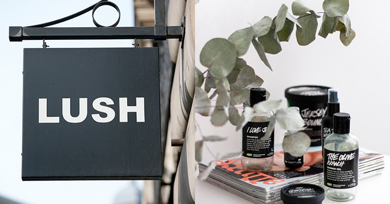 這種品牌哪裡找？不屑賺錢挺環保，LUSH 宣佈關閉北美 250 家店舖