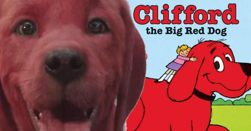 還記得童年的「大紅拉不拉多」嗎？太寫實的真人電影《Clifford》絕對會把你嚇到不小心拉太多！