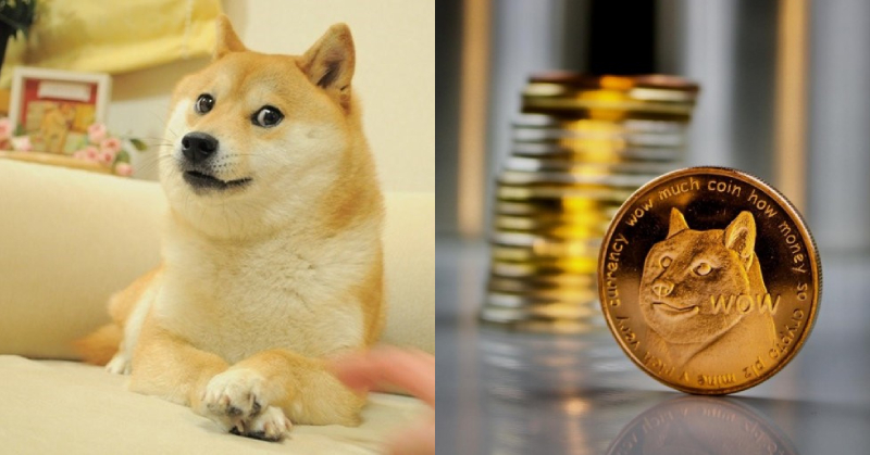 原本只是迷因的「狗狗幣」起飛啦！連馬斯克都親自讚揚，單日漲 822 % 的 Dogecoin 成為現今最火熱加密貨幣！