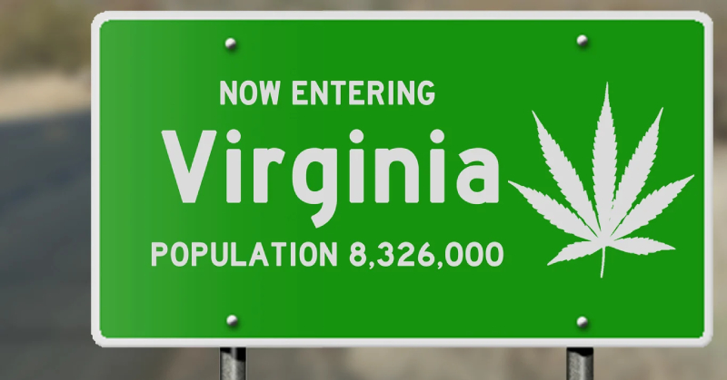 強勢加速綠色版塊擴展！首傳進度大步提前四年，美國維吉尼亞州「大麻合法化」今年夏季正式開跑！