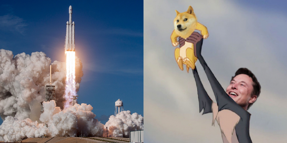 靠柴犬上太空？！SpaceX 將啟動「Doge – 1」登月任務，接受「狗幣支付」真的要送狗狗上月球！