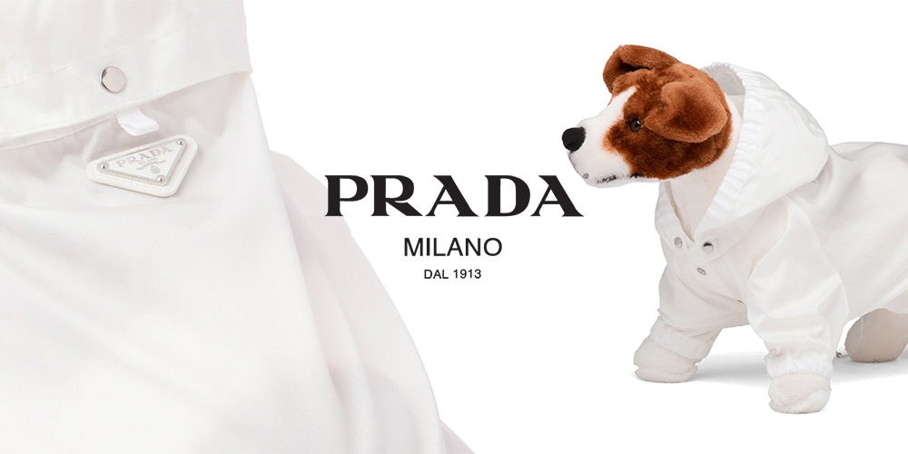 超模時裝秀早就不夠看？Prada 推出寵物時裝準備跟著寵物一起 SWAG！