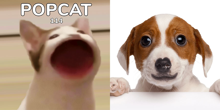 要成為世界第一就看這次！ PopCat 推出狗勾版本 狗奴們還不獻上你的手指？