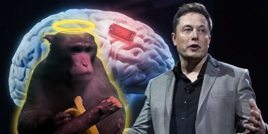 Elon Musk 大腦晶片植入實驗結果？              ：猴子到天國去了