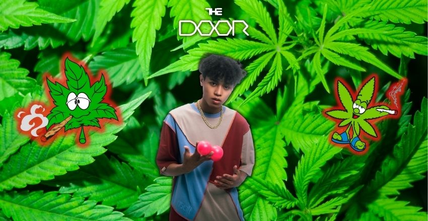 文末抽獎｜先別自己哈們！420 來 THE DOOR 保證給你哈一組大的！