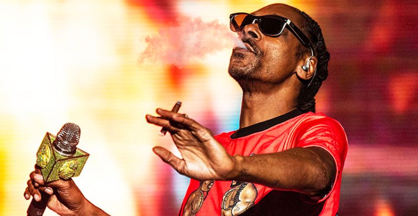 幫 Snoop Dogg 捲大麻有多爽？ 可以免費抽以外最近還調薪了？！