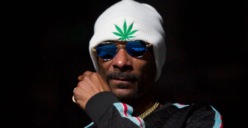 TALK DOPE / 那個每天都在哈們的 Snoop Dogg 既然曾經戒過大麻？！