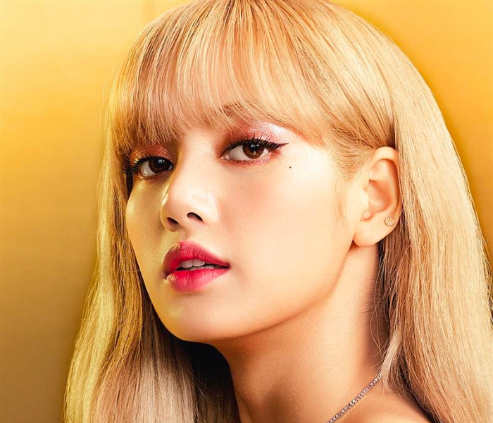 <strong>我婆真的太強啦！BLACKPINK  Lisa 一舉拿下 7 項金氏世界紀錄，成為韓流史上第一人！</strong>