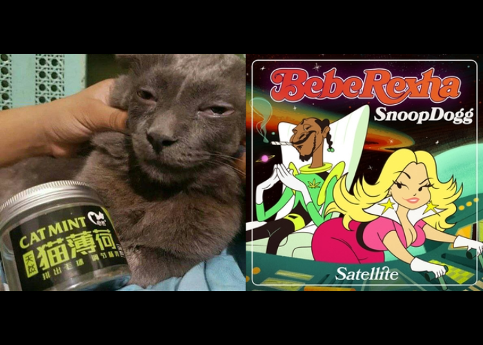 420 Chill 一下！精選 7 首超鬆歌單，就要飛到最高點！