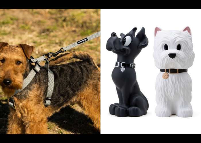 毛孩子也要潮流！NEIGHBORHOOD「dogs」寵物用品系列推出